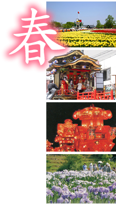 春