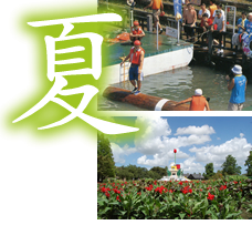 夏