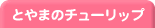 とやまのチューリップ
