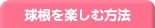 球根を楽しむ方法