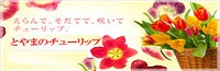 富山県花卉球根農業協同組合バナー