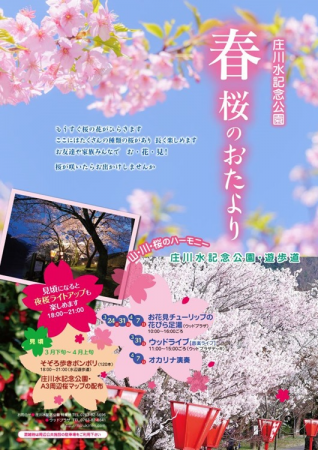 庄川春　桜まつり_