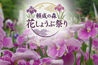 第４１回頼成の森 花しょうぶ祭り（６月１２日～２１日）